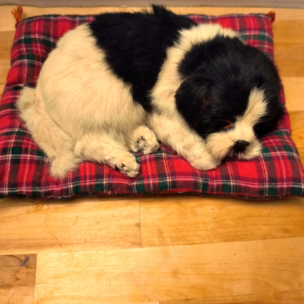 Vintage Sleeping dog Maltese plush on Attached bed